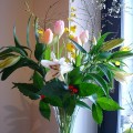 dsc04895 dsc04895