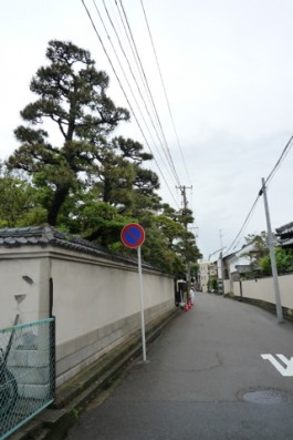 p1020741