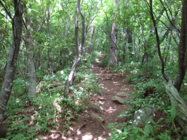 dsc02816