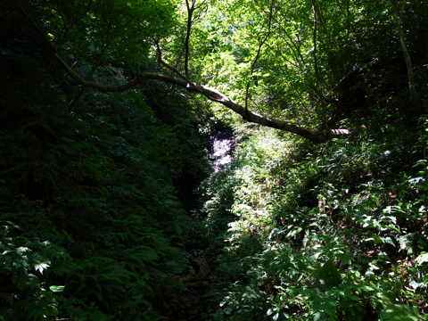 r0025704 r0025704