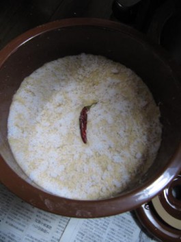 img_1347 img_1347