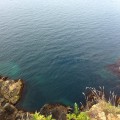 img_0456