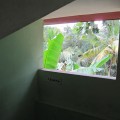 img_3914